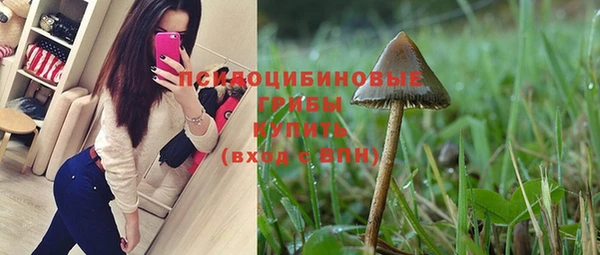 бошки Медвежьегорск