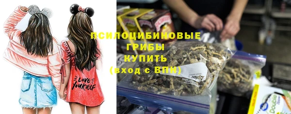 сатива Мегион