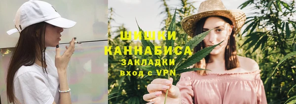 сатива Мегион