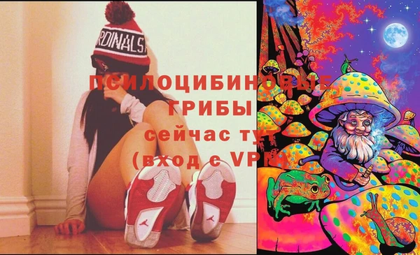 бошки Медвежьегорск