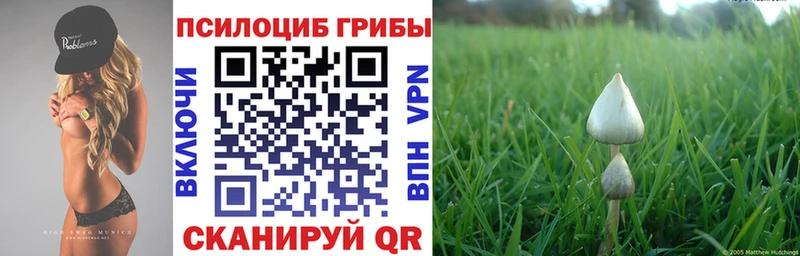 Галлюциногенные грибы GOLDEN TEACHER  дарк нет формула  Екатеринбург 