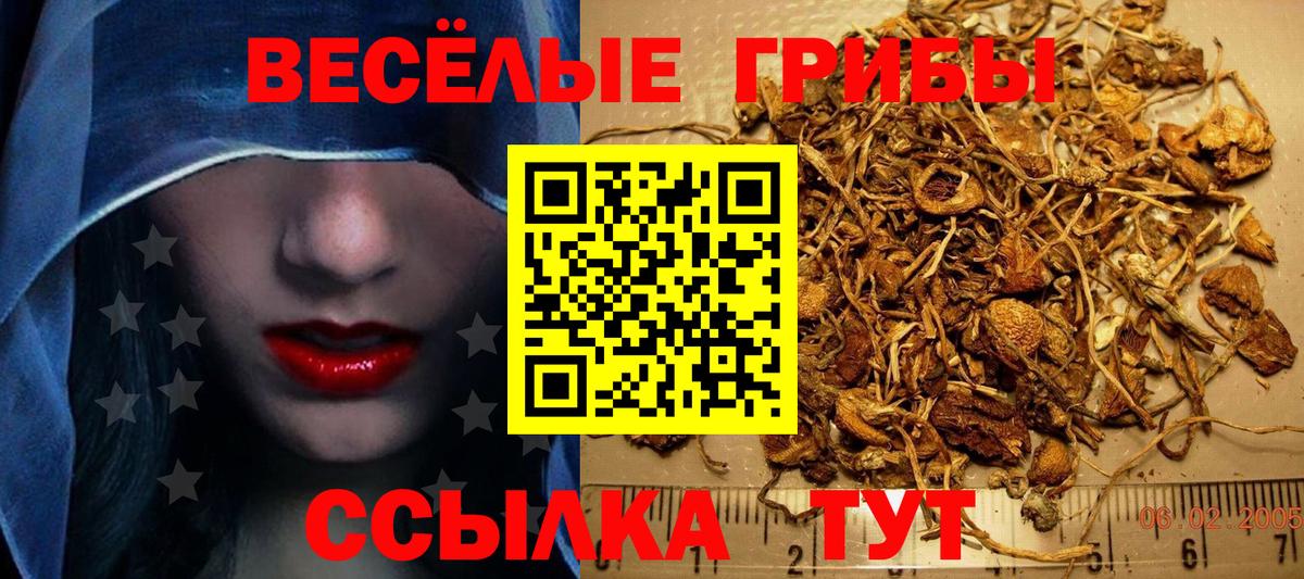 Галлюциногенные грибы мицелий Екатеринбург