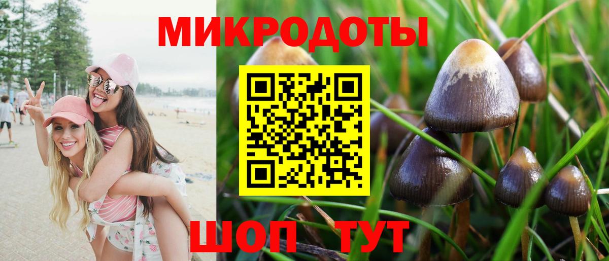 Екатеринбург  купить наркотик  Вход с VPN  Псилоцибиновые грибы Magic Shrooms 